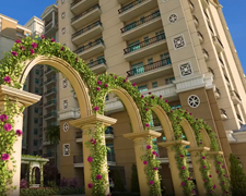 GREENBERRY SIGNATURE