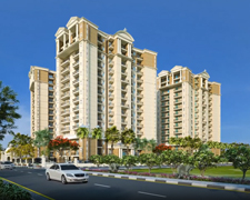 GREENBERRY SIGNATURE