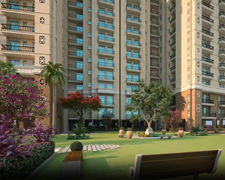 GREENBERRY SIGNATURE